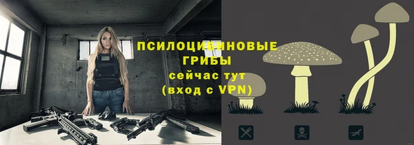 СК Иннополис