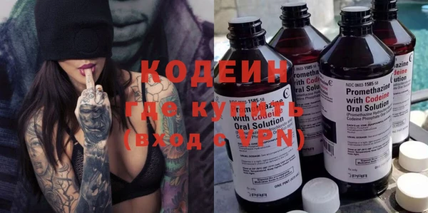 хмурый Касимов