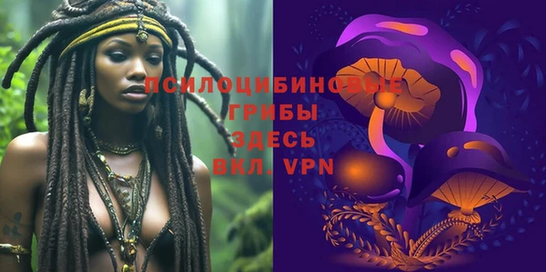 мескалин Инта