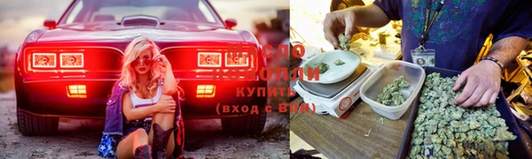 эйфоретик Инсар