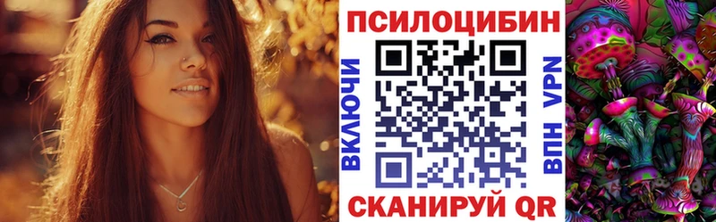 Галлюциногенные грибы Psilocybe  mega вход  Людиново 