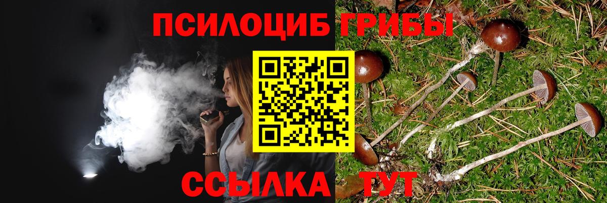 Псилоцибиновые грибы мицелий  Псилоцибиновые грибы Psilocybine cubensis  Вход с VPN  Людиново 