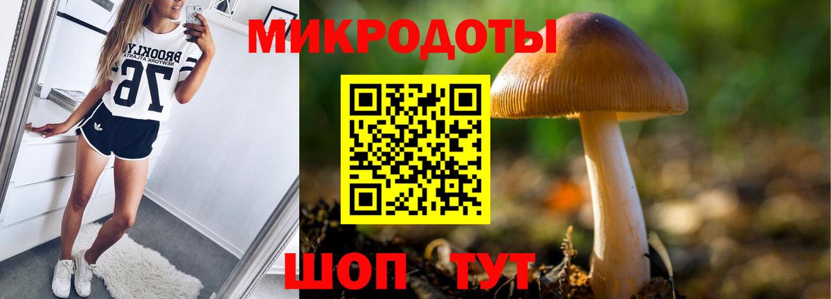 Псилоцибиновые грибы GOLDEN TEACHER Людиново